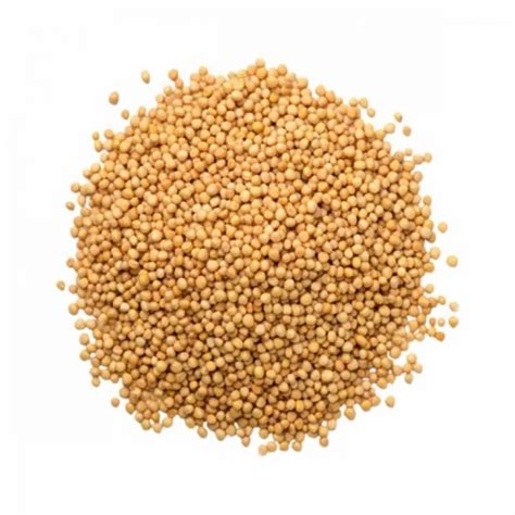 Mustard White 2 Kg At ₹ 80kg In Bolpur Id 2853240630962