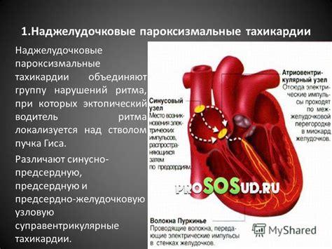 Презентация на тему: "Карагандинский государственный медицинский ...
