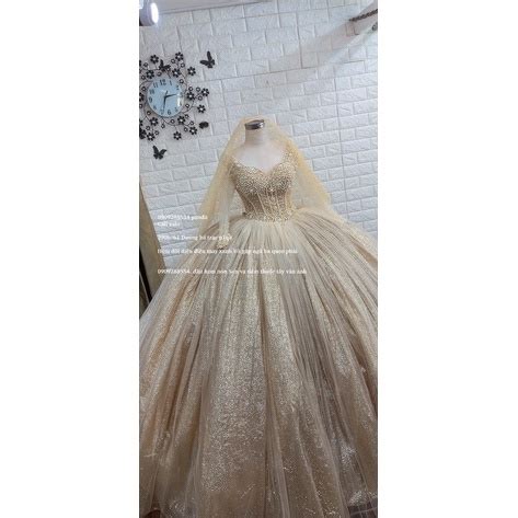 Mua áo cưới tay trễ vai tay dài kim tuyến nude da sắc sảo kết đá eo nhọn giá rẻ nhất TecKi Vn