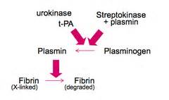 Fibrinolytic Agents; Antithrombotic Agents; Thrombolytic Agents