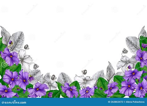 Backgroundfloral Frame Of African Violets Hand Drawn Watercolor And