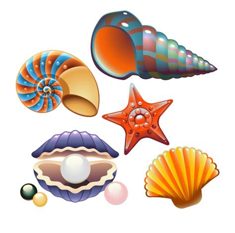 Clam Clipart Colorful Clam Colorful Transparent Free For Download On