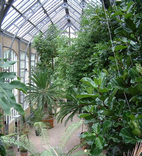 Bagging botanic gardens – Polypompholyx