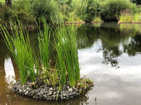 Schwimmende Pflanzeninselnteichinseln Für Ihren Teich