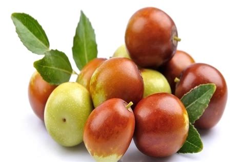 Jujube Fruit Benefits Nutrition Facts And How To Use Axe 52 Off