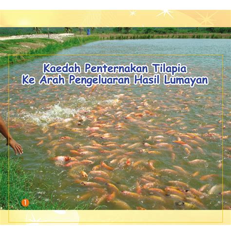 Kaedah Penternakan Tilapia Ke Arah Pengeluaran Hasil Lumayan INFO