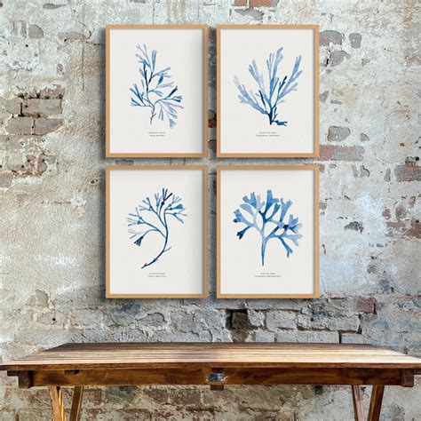 Indigo Seaweed Print Wall Art Bladder Wrack Beach House Art