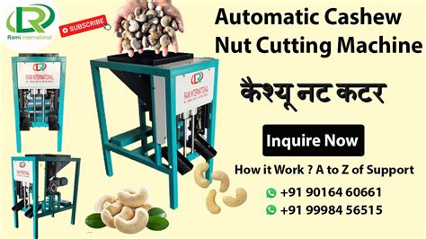 Cashew Nut Cutting Machine Cashew Nut Shelling Machine Cashew