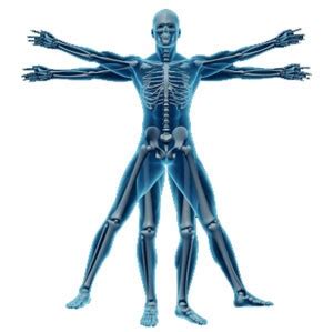 applied kinesiology inline health  sports injury clinic