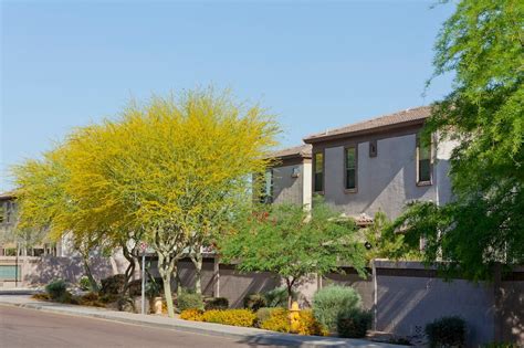 Drought Tolerant Plants For Arizona Landscaping