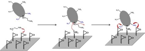 A Facile Route For Oriented Covalent Immobilization Of Recombinant