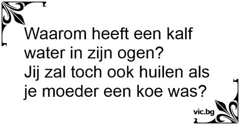 Waarom Heeft Een Kalf Water In Zijn Ogen Jij Zal Toch Ook Huilen Als