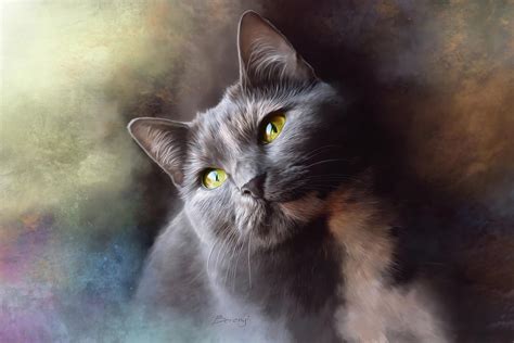 Gray cat Digital Art by Szabolcs Berenyi - Fine Art America