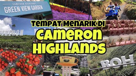 Tempat Menarik Di Cameron Highlands 2019