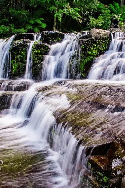 The Liffey Falls A Series Of Four Distinct Tiered Cascade Waterfalls