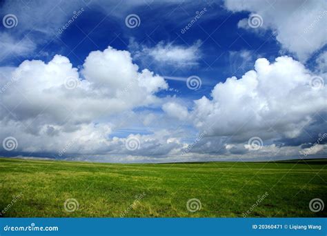 Grassland Stock Image Image Of Plants Blue Landscaping 20360471