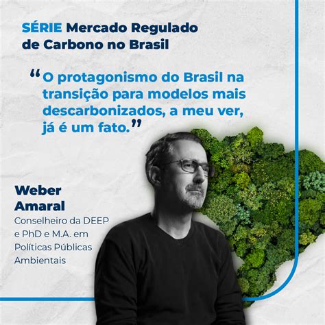 O Mercado Regulado De Carbono No Brasil Entrevista Exclusiva