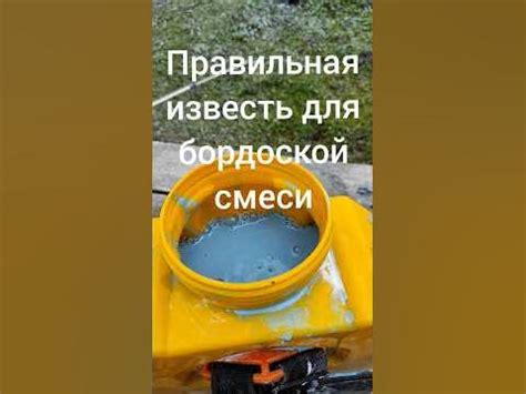 Как выбрать известь для обработки плодовых - YouTube