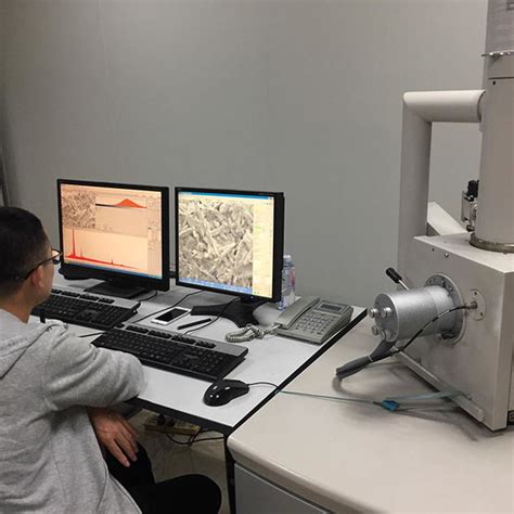 Environmental scanning electron microscope (ESEM) | Download Scientific ... 