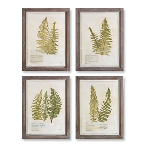 Set Of 4 Framed Fern Print Wall Decorations 23 5