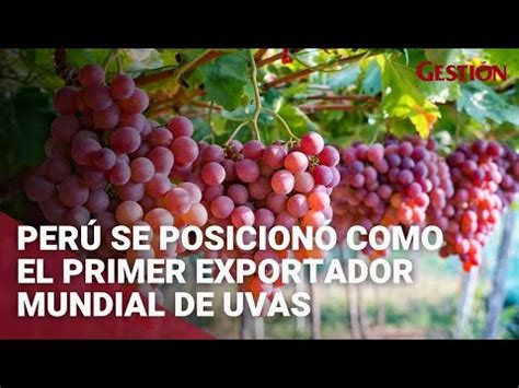 Perú se posicionó como el primer exportador mundial de uvas en 2021