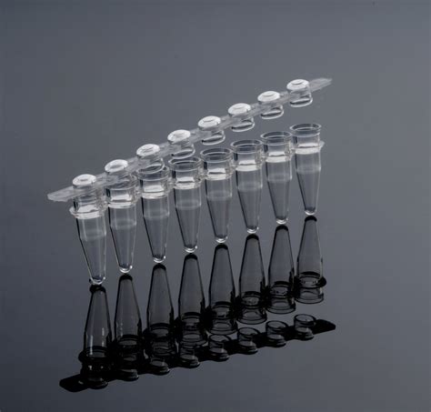 0 2ml 8 Strip PCR Tubes With Strip Caps PP Dnase Rnase Free High