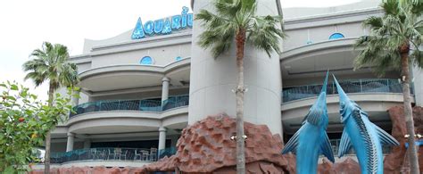 Best Attractions in Texas: Downtown Aquarium in Houston