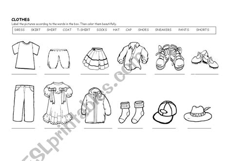 Clothes Esl Worksheet By Regina Di