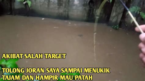 Orang Mancing Wader Lah Ini Dimakan Lele Auto Dibuat Kelabakan