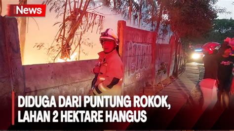 Hektare Lahan Terbakar Di Cipayung Diduga Akibat Puntung Rokok