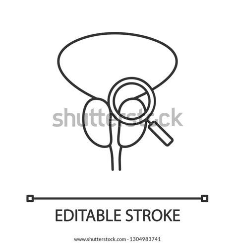 Prostate Exam Check Linear Icon Thin Stock Vector Royalty Free 1304983741