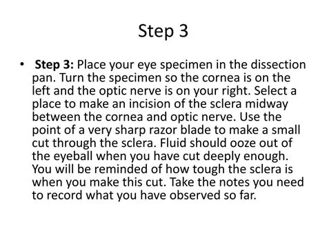 Ppt Sheep Eye Dissection Powerpoint Presentation Free Download Id