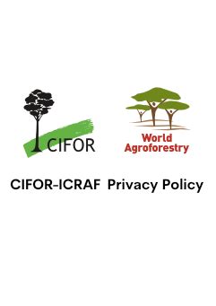 Institutional Documents CIFOR ICRAF