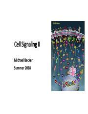 Lecture 13 A Pdf Cell Signaling II Michael Becker Summer 2018 The