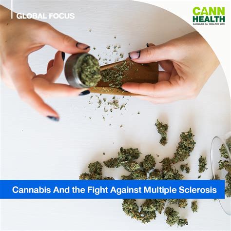 Cannabis And The Fight Against Multiple Sclerosis Cannhealth