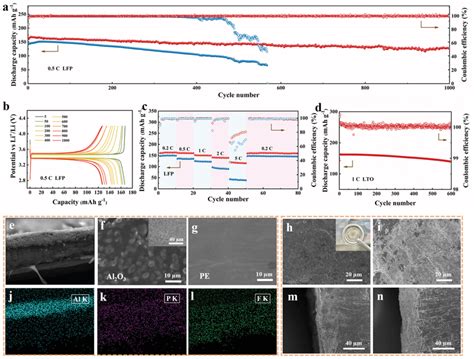 Electrochemical Behavior Of Lmbs A Charge And Discharge Capacity Of