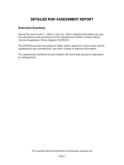 Detailed Risk Assessment Report Executive Summary