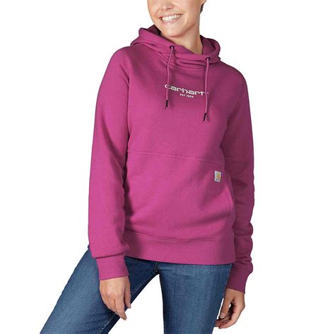 Carhartt Force™ Relaxed Fit Lightweight Graphic Hooded Sweatshirt Carhartt®