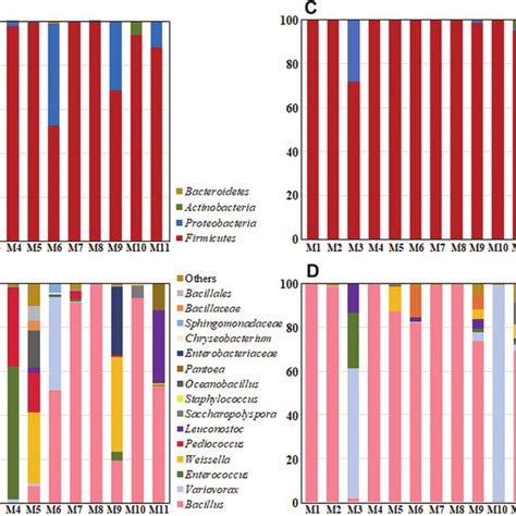 Relative Abundances Of Bacteria A And C And Fungi B And D Present