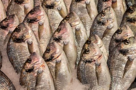 Pescado Fresco En El Hielo En El Mercadoxa Foto Premium