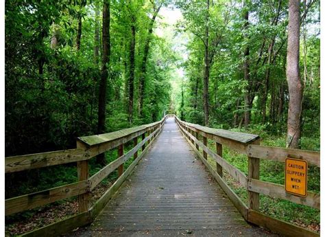 Cape Fear River Trail