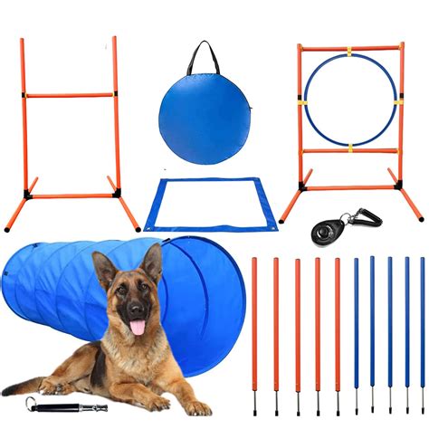 Dog Agility Course