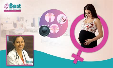 Bangalore The Premier Destination For Fertility Treatment In India