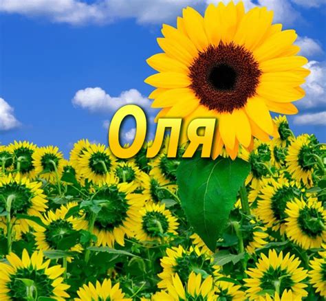 Картинки с именами Оля.