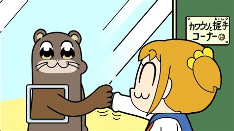 Popuko Shaking Hands With Otter Pop Team Epic S2 Episode 10 Youtube