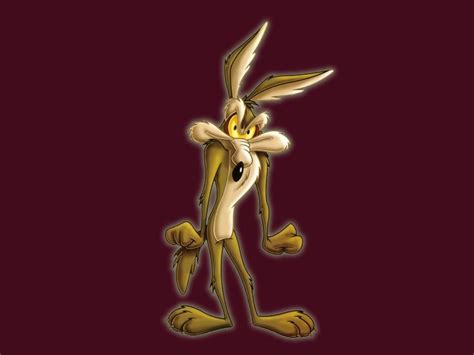 Wile E Coyote Wallpapers Top Free Wile E Coyote Backgrounds