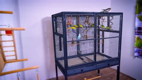 Love Birds Cage Design