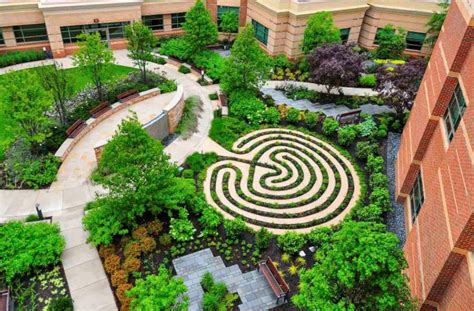 Therapeutic Gardens: Design for Healing Spaces