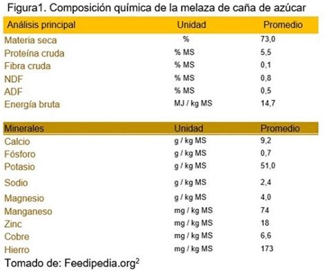 Melaza de caña de azúcar y sus recomendaciones de uso en rumiantes