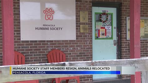 Pensacola Humane Society Shelter Emptied Staff Quit Amid Board